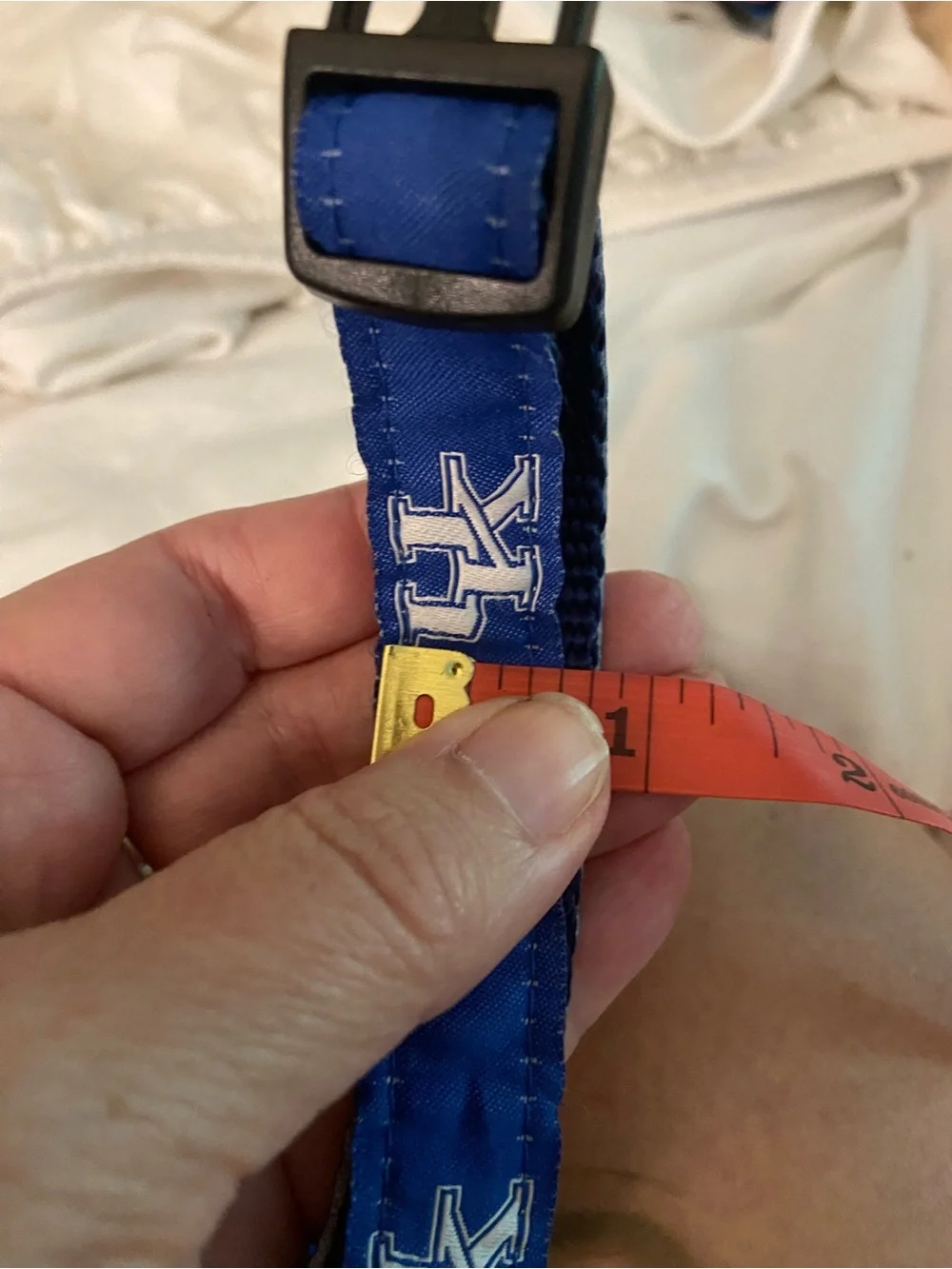 Blue University of Kentucky Logo Dog Collar with Quick-Release Buckle